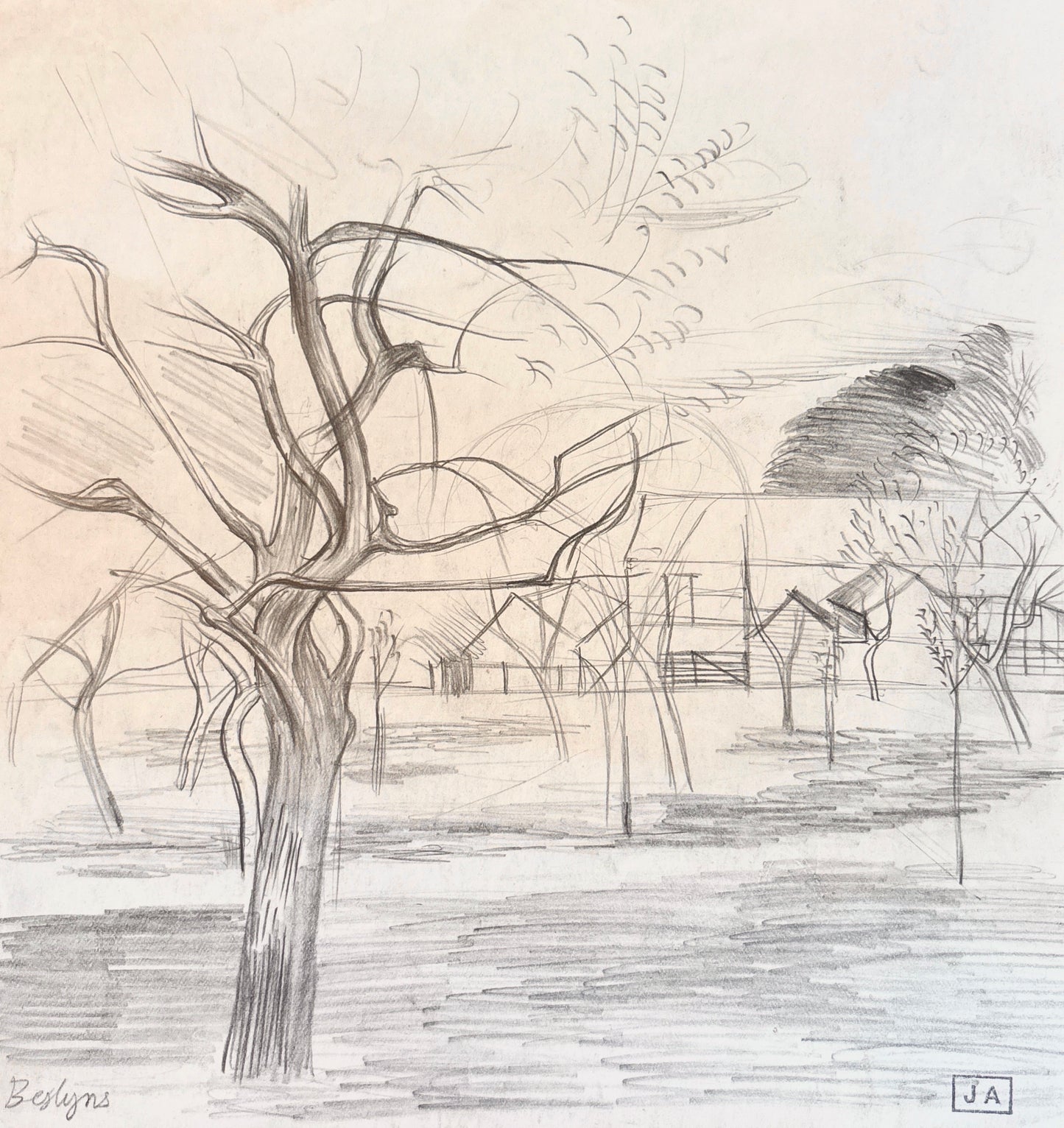 Beslyns Fruit Trees in Winter