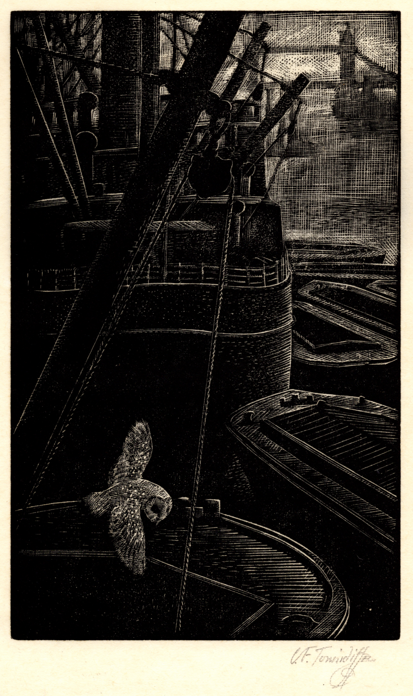 Barn Owl at the Wharves