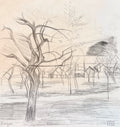 Aldridge, John (1905-1983) - Beslyns Fruit Trees in Winter, c. 1950