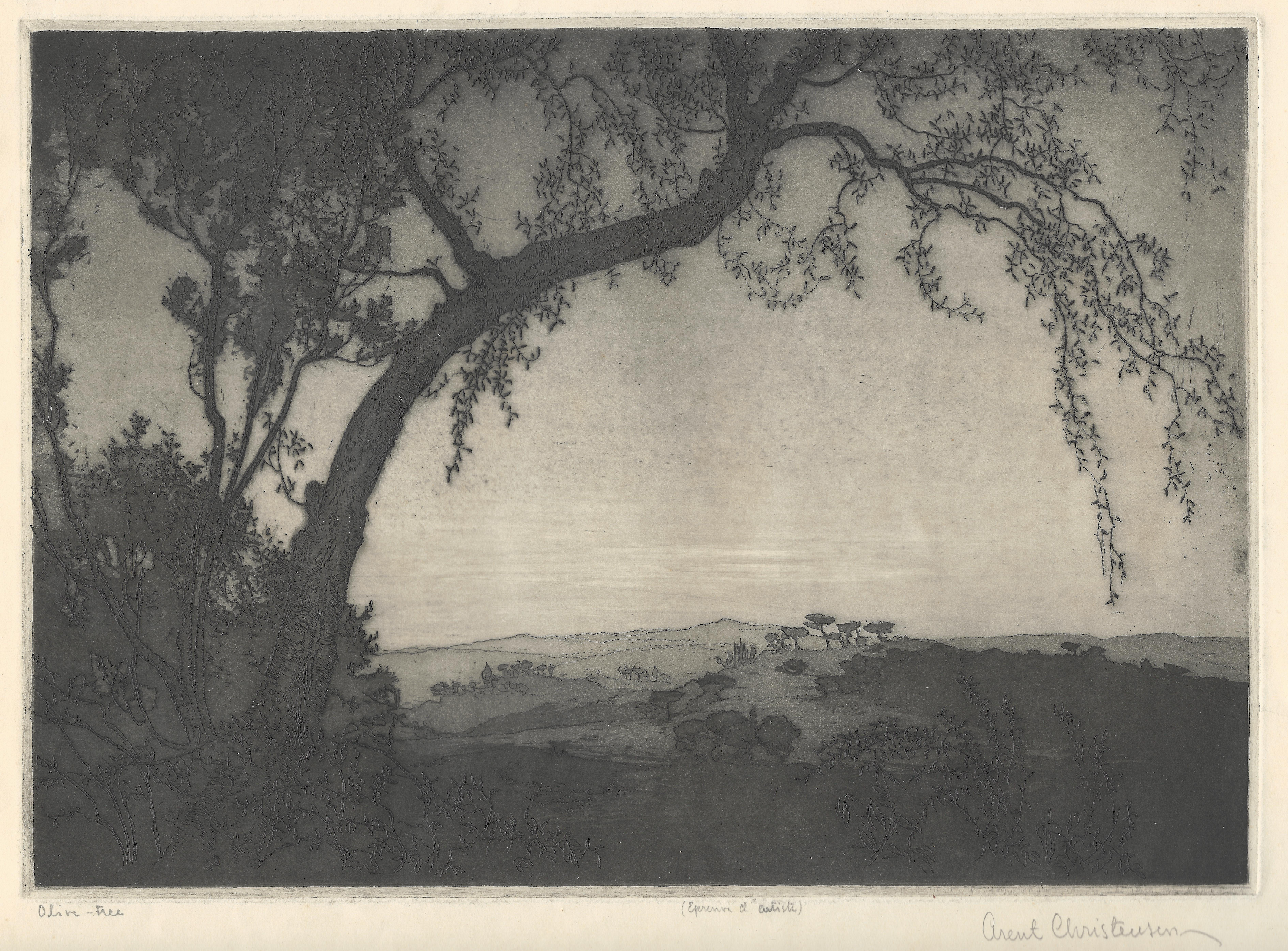 Christensen, Arent Lauritz (1894-1981) - Olive Tree, c. 1920