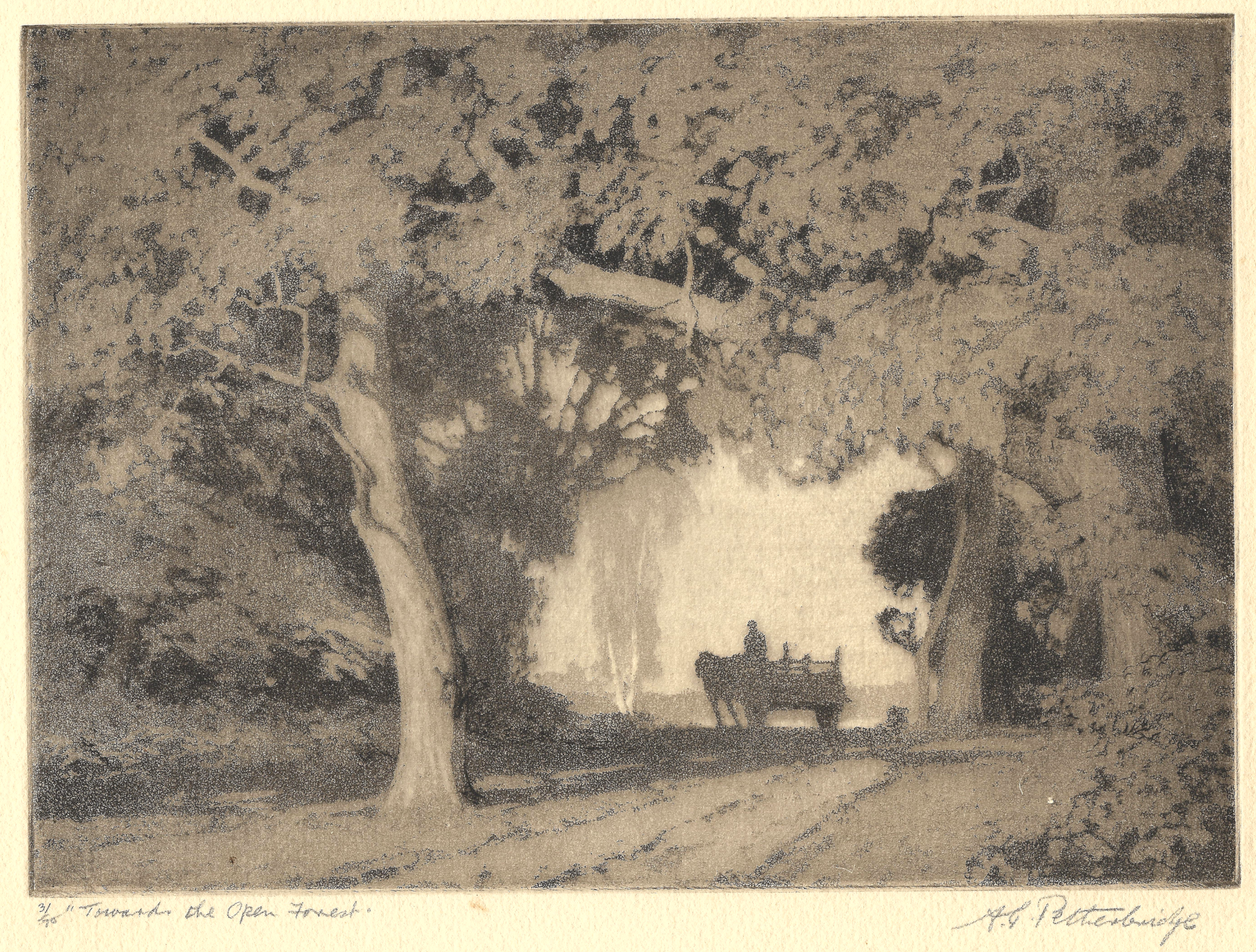 Towards the Open Forest