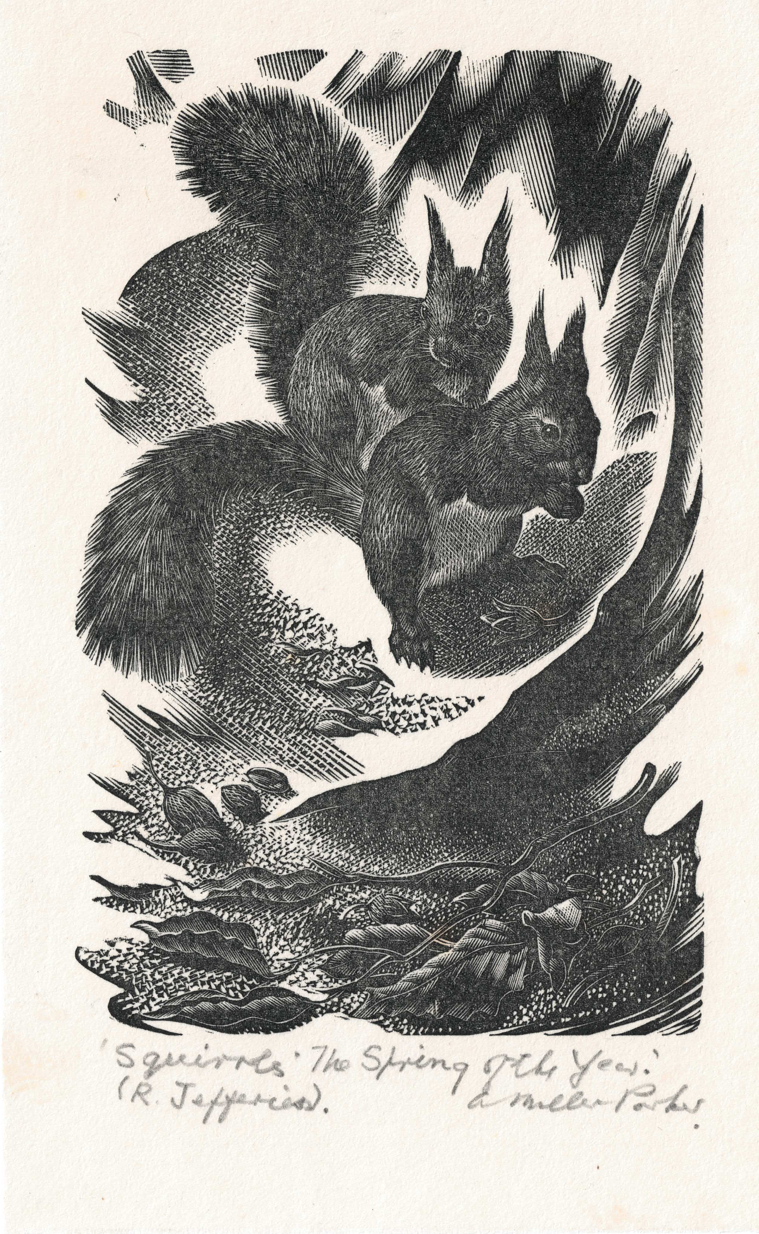 Parker, Agnes Miller (1895-1980) Squirrels - The Spring of the Year, 1946