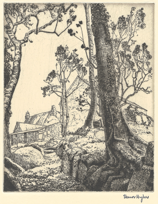 The Path to the Farm