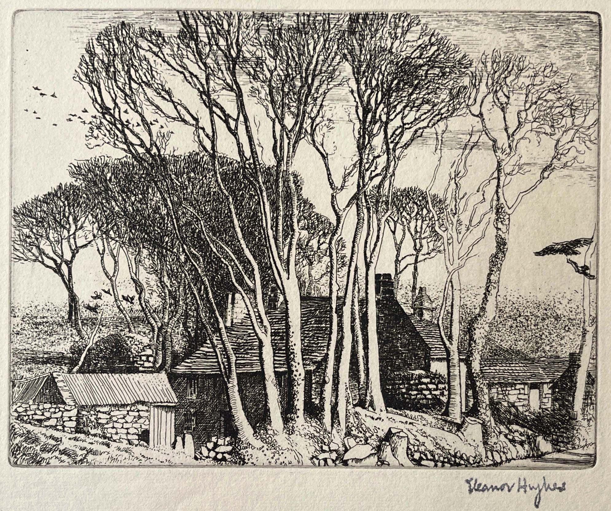 Hughes, Eleanor - Woodland Farm, c. 1920