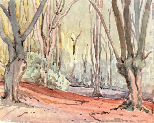 Burnham Beeches