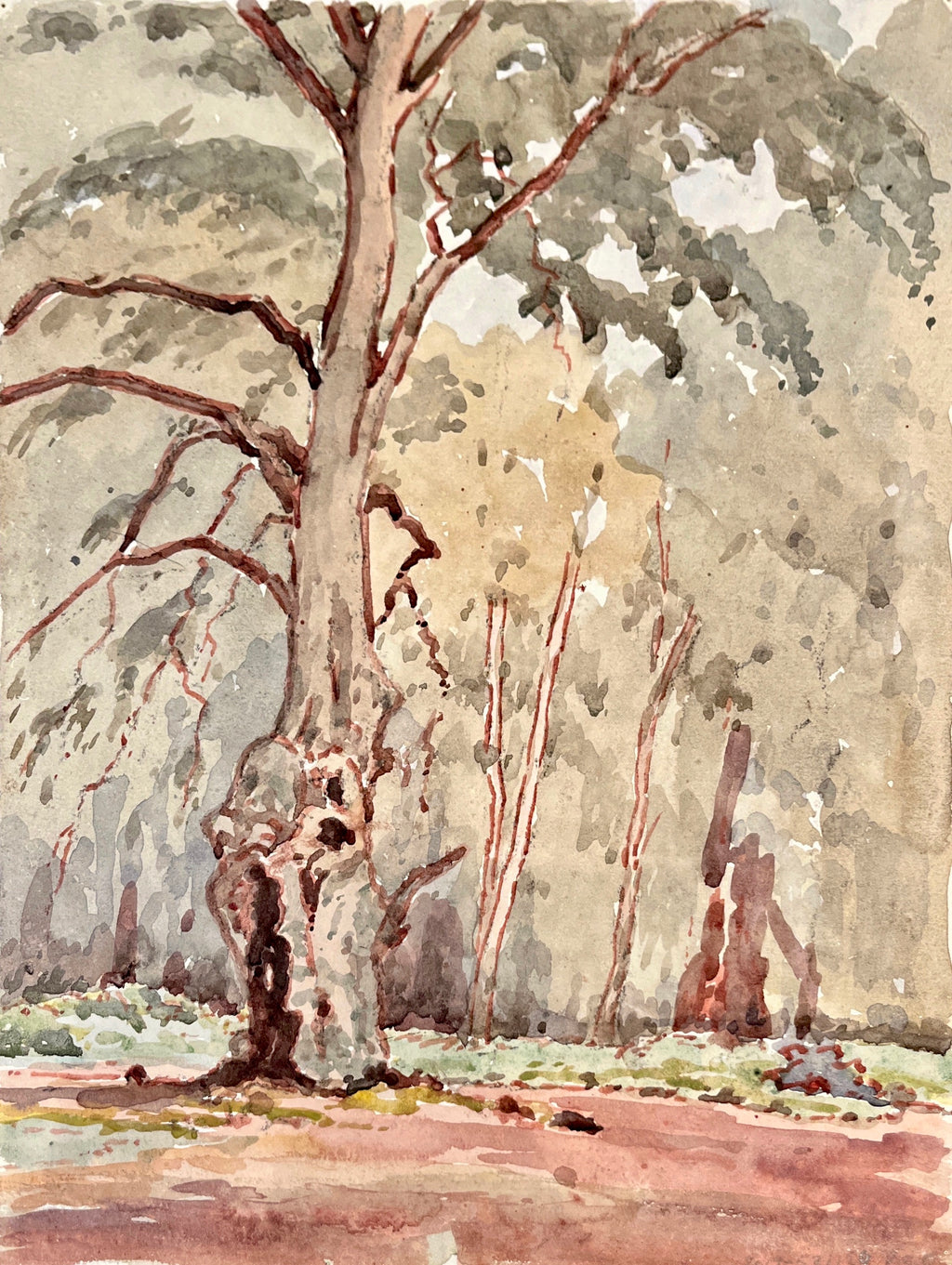 Burnham Beeches