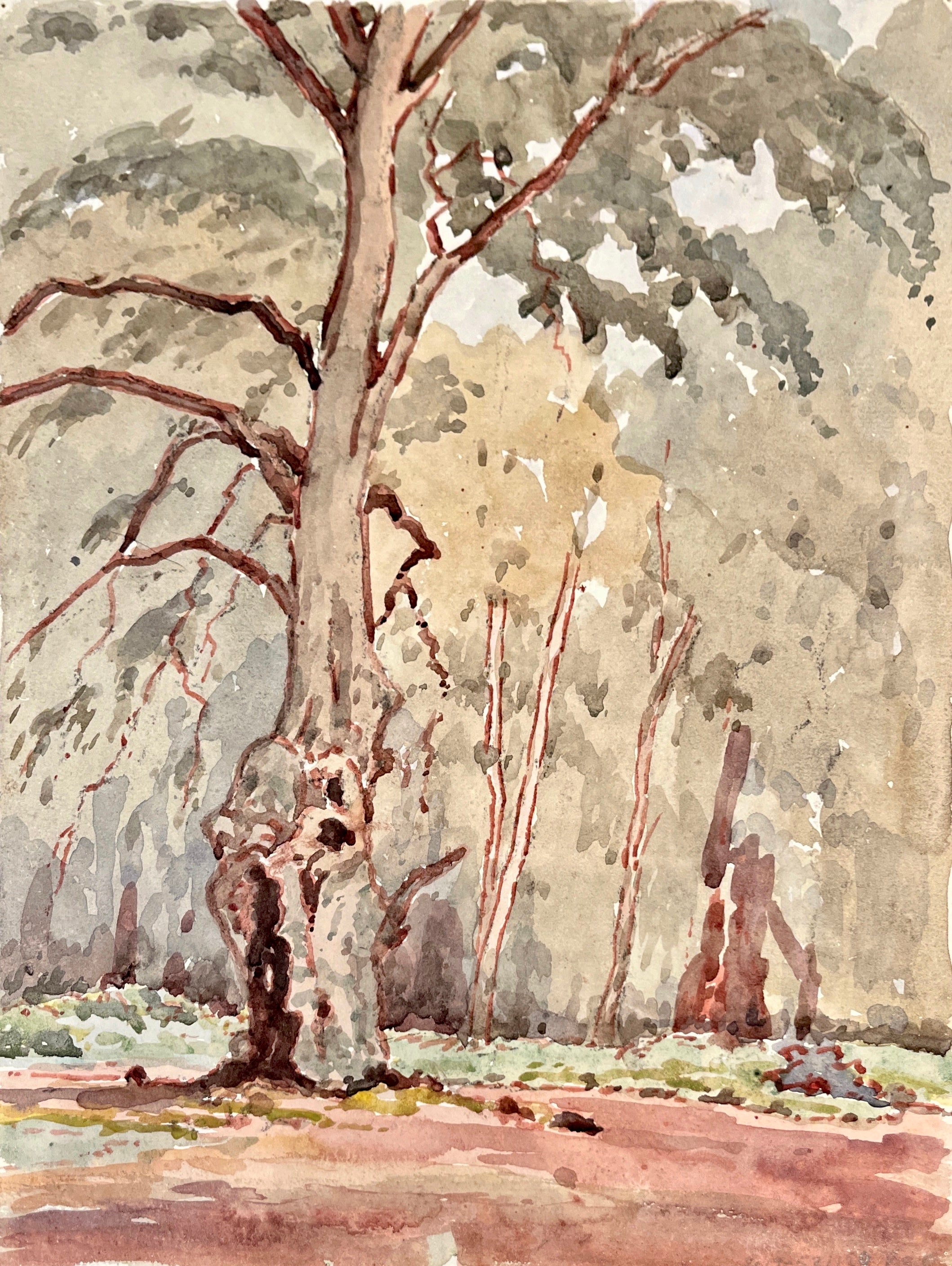 Burnham Beeches