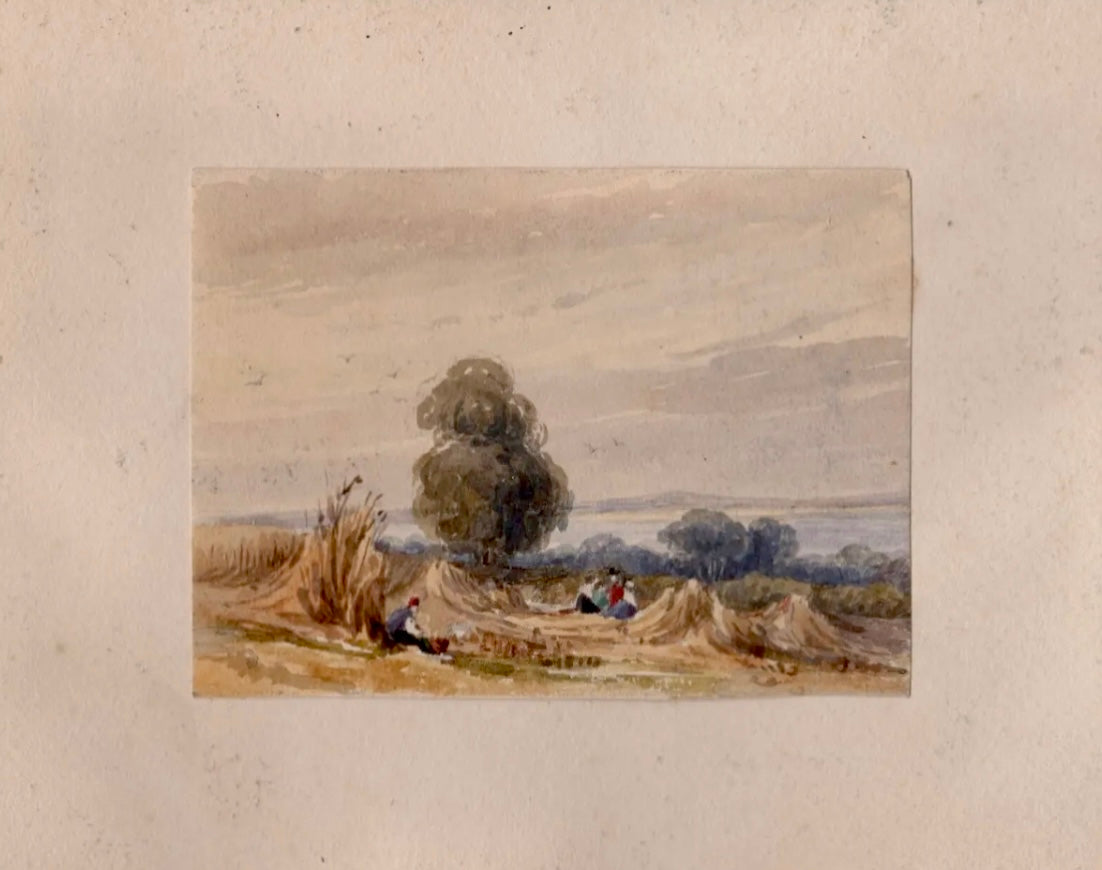 View of a Scottish Harvest