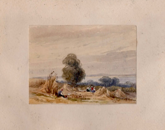 View of a Scottish Harvest
